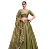 Women Lehenga Choli